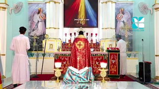 #Holy Mass Syro Malankara New 20 | Fr Thomas Kuttiyil Aug 23 | ShalomTelevision