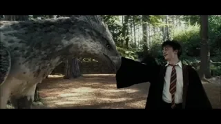 Гарри Поттер. Восхитительный музыкальный клип  /  Harry Potter. The Delightful Music Video