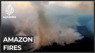 Brazil: Wildfires threaten virgin Amazon rainforest