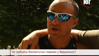 БЕРДЯНСК 2018 опрос СОБАКИ 2018 07 18