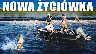 Wymarzona majówka na Bugu - szczupak, boleń, okoń