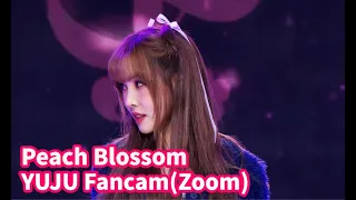 유주 직캠줌인 '복숭아꽃(Peach Blossom)' (YUJU FanCam Zoom ver.)[The Show 230314]