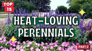 Thriving Not Just Surviving: 15 Heat Loving Perennials for a Sun Kissed Garden 🌞🌺 // Part 2