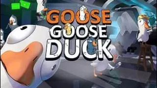 Stream #121 ● Goose Goose Duck