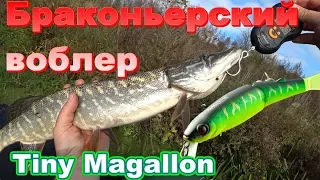 Никогда не покупайте воблер Jackall Tiny Magallon. Он истребляет всю щуку. Браконьерский воблер.