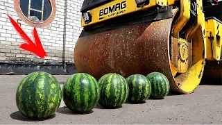 EXPERIMENT: ROAD ROLLER VS 5 WATERMELON