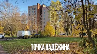 Точка Надёжина