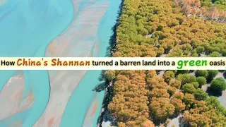 GLOBALink | How China's Shannan turned barren land into green oasis