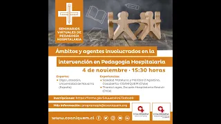 IXº Seminario Virtual sobre Pedagogía Hospitalaria.