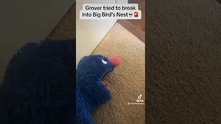 Grover Really Tried To Do Something To Big BIrd💀🚨