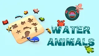 Water Animals for Kids | Learn Sea Animals 🐙from Kids Corner India