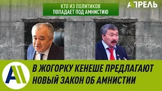 Зачем депутаты продвигают закон об амнистии?  Апрель ТВ