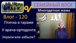 Влог 120 Будни... Птичка в гараже, снег, у ортодонта, украли или забыли? многодетная семья Савченко