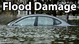Checking A Used Car For Flood Damage
