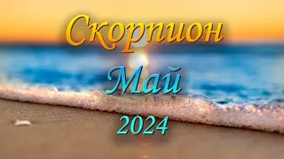 Скорпион Таро прогноз на Май 2024 года.