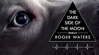 Roger Waters: DSOTM Redux | Is it any Good?