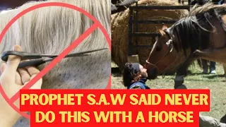 Prophet s.a.w said Never do This With a Horse 🐎 | Islamic Lectures