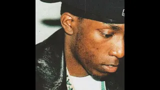 Big L - Lifestylez ov da Poor & Dangerous (Instrumental)