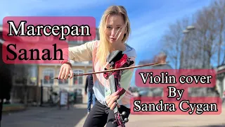 Marcepan - Sanah violin cover by Sandra Cygan MIELNO 2023