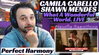 Camila Cabello and Shawn Mendes What A Wonderful World Reaction