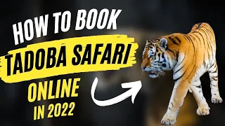 How to book Tadoba Tiger Safari Online 2022 | Ultimate guide Tadoba Safari Booking | Jungle Safari