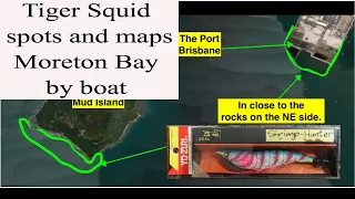 Squid fishing Moreton Bay by boat, maps, spots and bait 2018