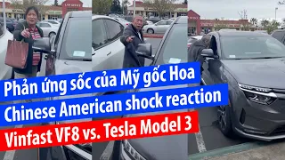 Phản ứng sốc của Mỹ gốc Hoa - Vinfast VF8 vs. Tesla Model 3 - Chinese American shock reaction