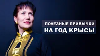 5 привычек на год Крысы, которые помогут стать счастливым и улучшить здоровье. Полезные привычки