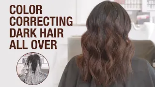 How to Lighten Pre-Colored Hair All-Over | Dimensional Dark Chocolate Hair Tutorial | Kenra Color
