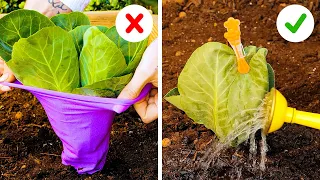 Effortless Gardening Hacks For Busy People