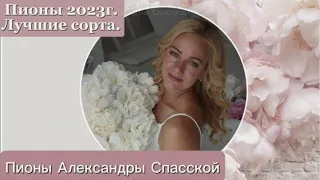 Лучшие пионы 2023 г. Александры Спасской