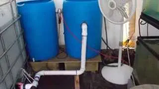 Tilapia - Filter System Details