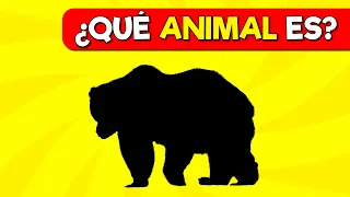 Adivina el Animal Correcto 🐫🦜🐢 Test de siluetas de Animales 🤓