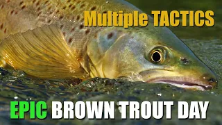 As It Happens - Multiple Tactics on an Epic Brown Trout Afternoon