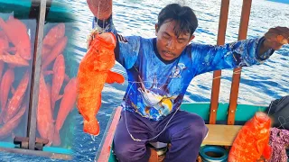 NEMU KARANG BARU UMPAN TURUN LANGSUNG PESTA DOUBLE STRIKE BERKALI KALI IKAN MAHAL