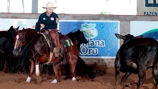 Derby Gruta Azul 2016 - Non Pro Champion