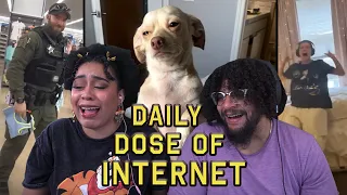 Who Traumatized This Dog?! | Daily Dose Of Internet With Skitten!