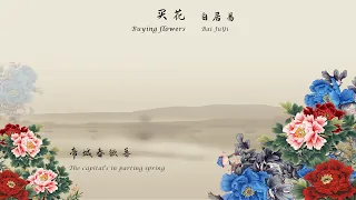 白居易《买花》Buying flowers 唐诗三百首 中国古诗词欣赏Chinese poem 中英文朗读版Chinese and English recitation 许渊冲译