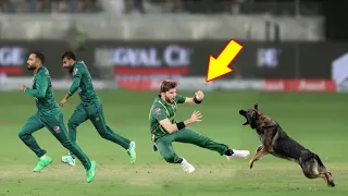 Top 15 Rare Moments In Cricket History Of All Times