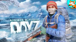 Выживание на новой холодной карте в DayZ