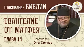 Евангелие от Матфея. Глава 14. Протоиерей Олег Стеняев. Толкование Библии. Толкование Нового Завета