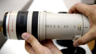 Canon 100-400mm f/4.5-5.6 IS USM 'L' lens review with samples (APS-C and full-frame)