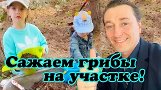 Актер Сергей Безруков показал, как дети с мамой сажают грибы