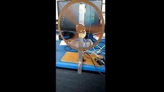 The Reaction Wheel Inverted Pendulum