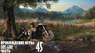 Прохождение Days Gone |45| |2k| |HDR| |Без комментариев|