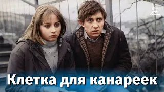 Клетка для канареек (мелодрама, реж. Павел Чухрай, 1983 г.)