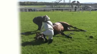 Racing horse death by accident in Galway