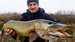 КРОКОДИЛ НА МАЛОЙ РЕКЕ! ТРУДНЫЙ ЗИМНИЙ СПИННИНГ! Ловля щуки на спиннинг на джиг