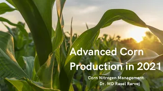 Advanced Corn Production in 2021
