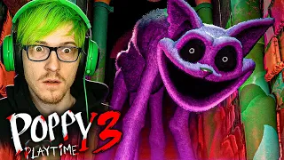 CATNAP IS FINALLY HERE.. Poppy Playtime Chapter 3 Release Date Trailer Reaction